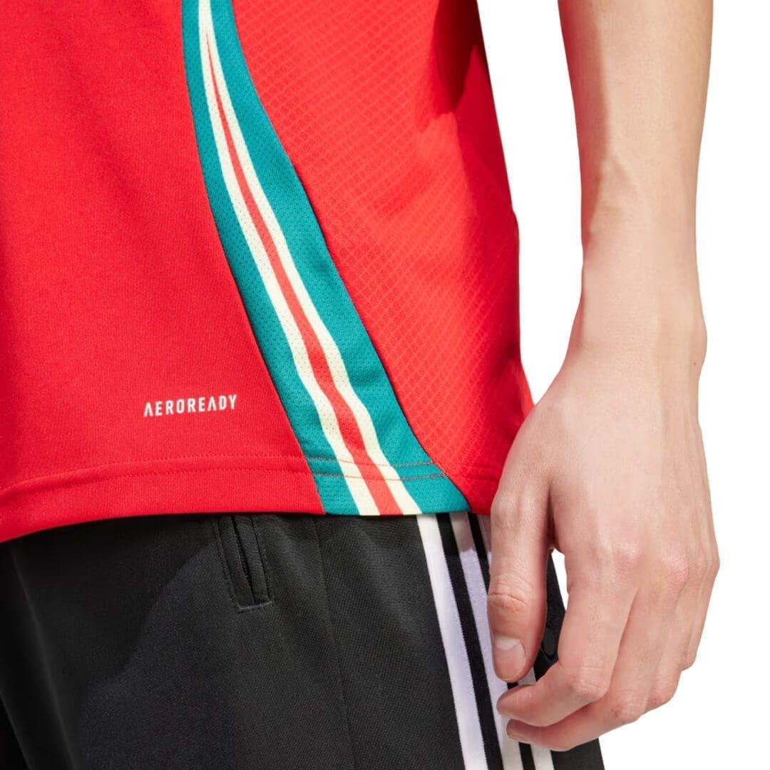 adidas Wales Men's Home Stadium Jerseyu 2024/25 - Image 4