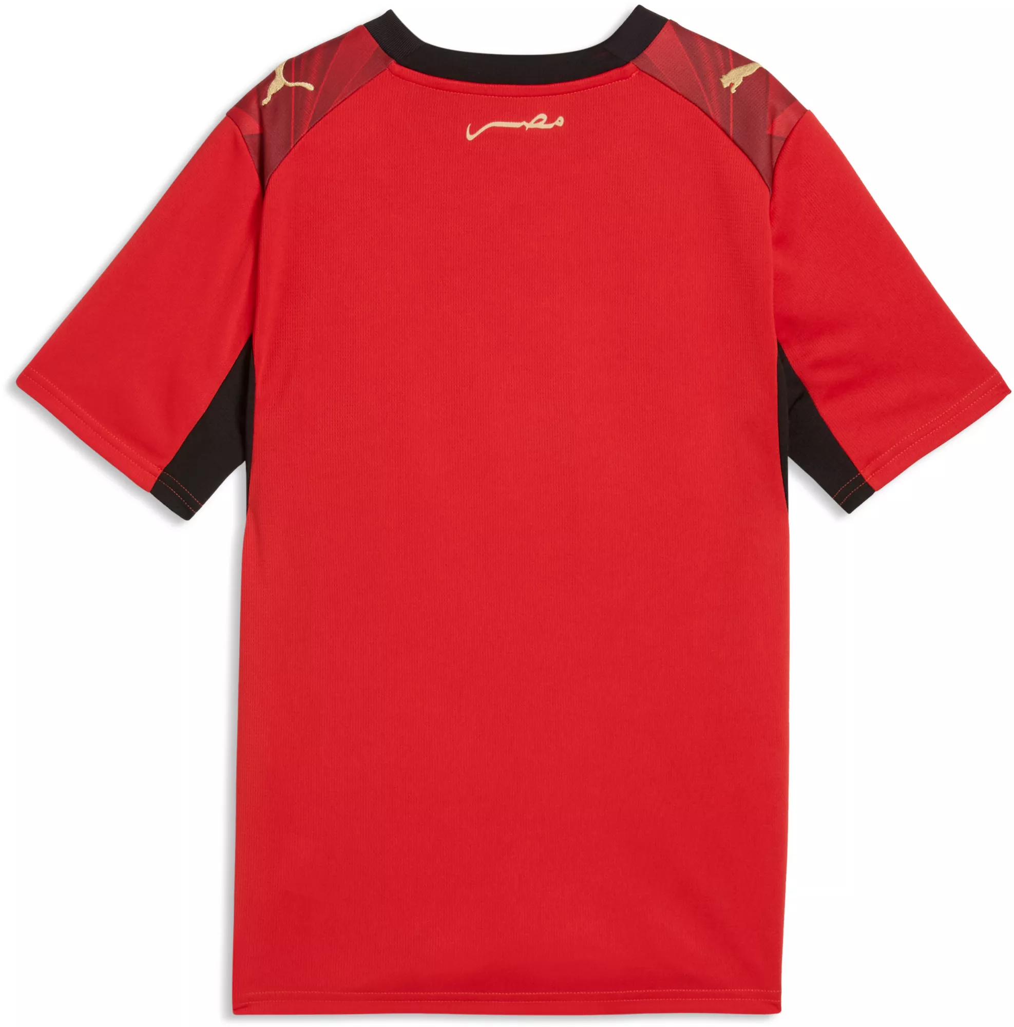 PUMA Egypt Youth Home Jersey World Cup 2026 - Image 2