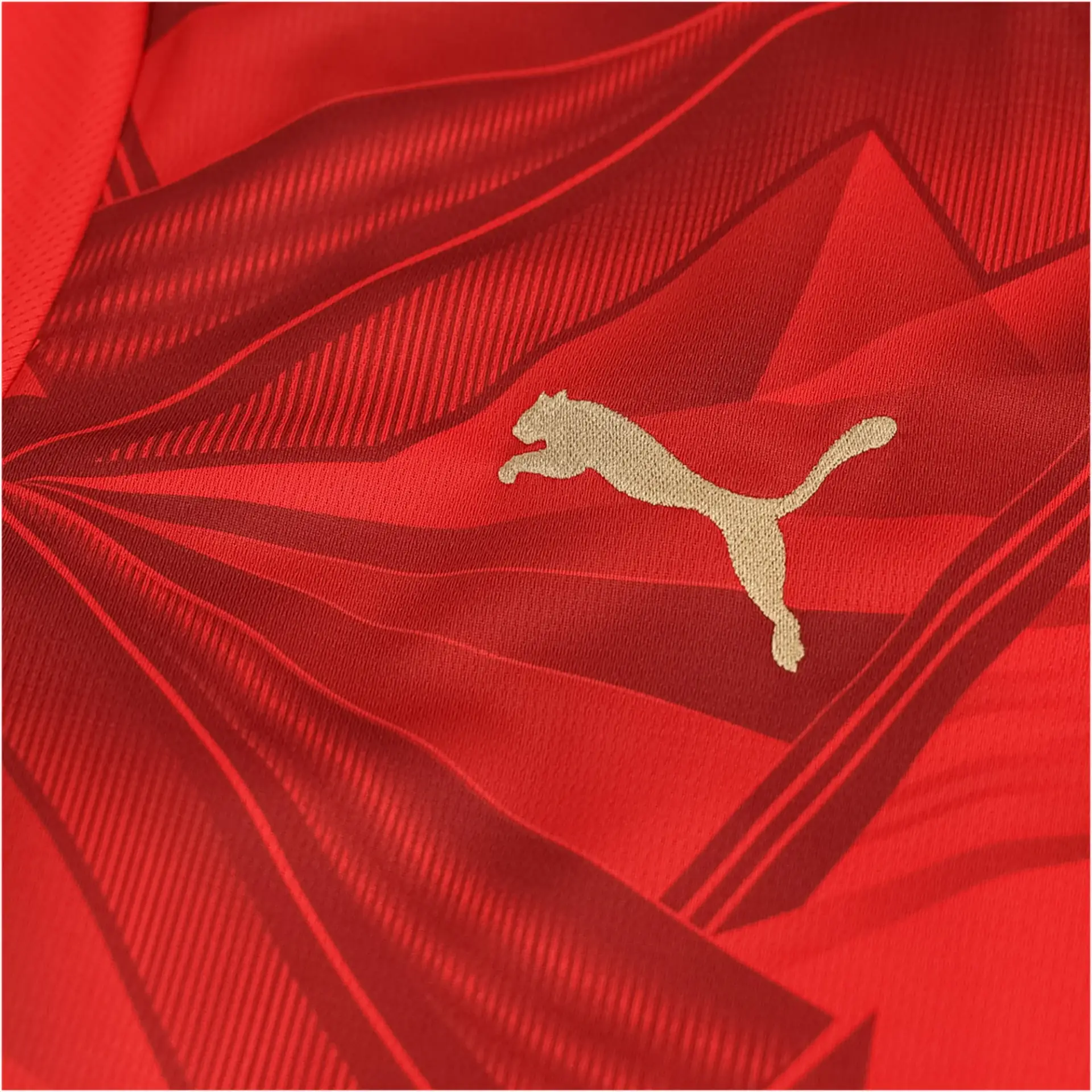 PUMA Egypt Men's Home Jersey World Cup 2026 - Image 4